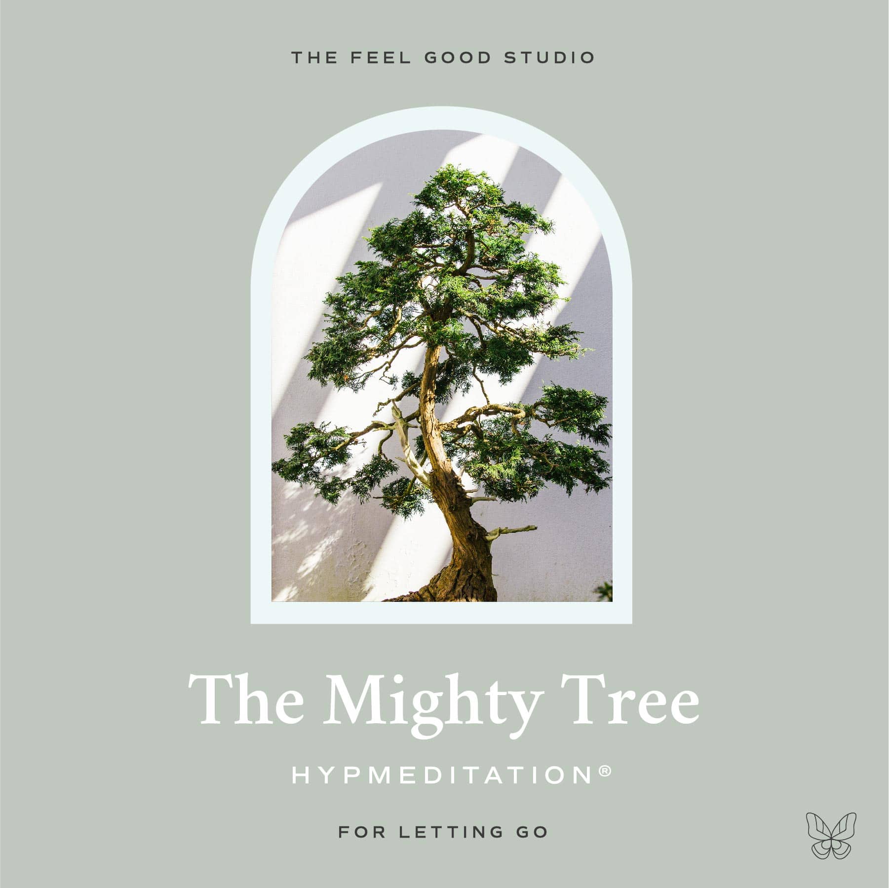 The Mighty Tree HypMeditation
